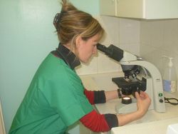Microscopie optique, Dr Pelletier  (recherche de parasites, examen de frottis sanguins...)